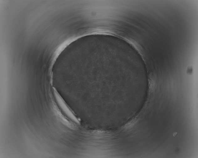 X0000111641371200907311241