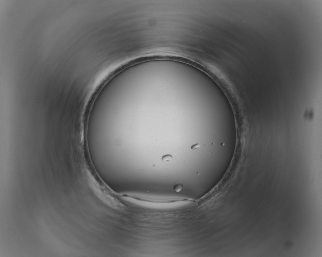 X0000111641372200907311241