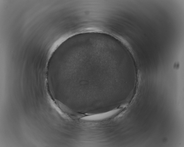 X0000111641373200907311241