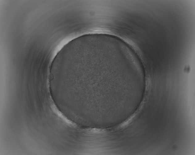 X0000111641374200907311241