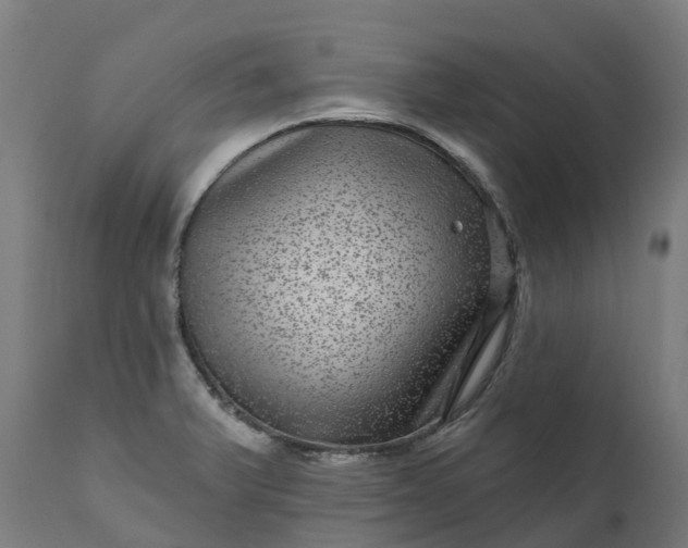 X0000111641375200907311241