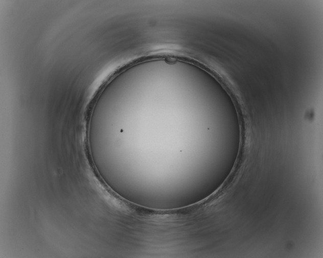 X0000111641376200907311241