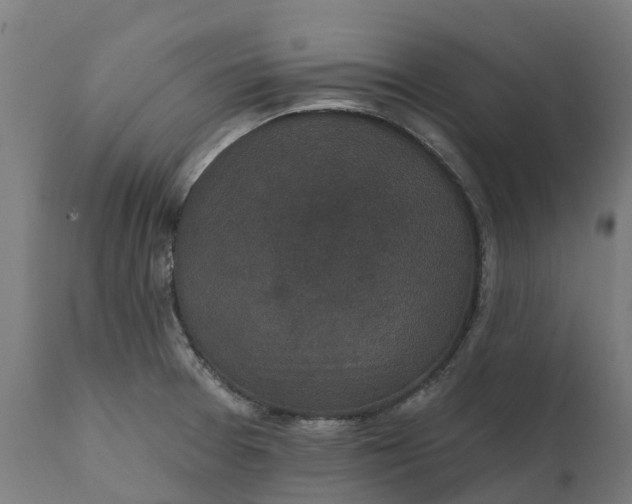 X0000111641377200907311241