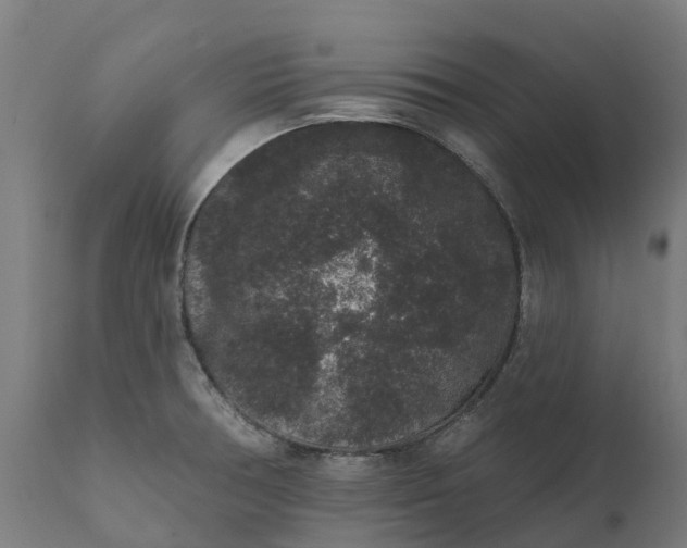 X0000111641378200907311241