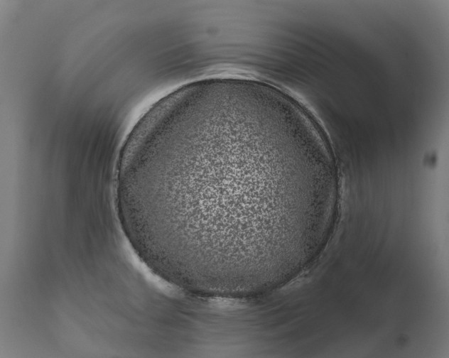 X0000111641379200907311241