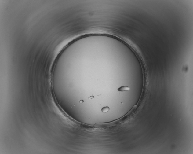 X0000111641380200907311241