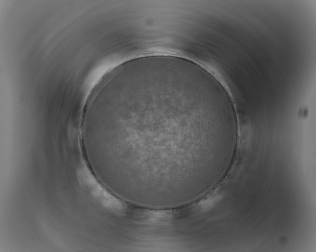 X0000111641381200907311241