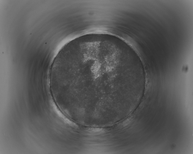 X0000111641382200907311241