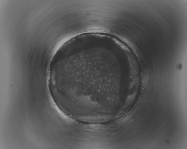 X0000111641383200907311241