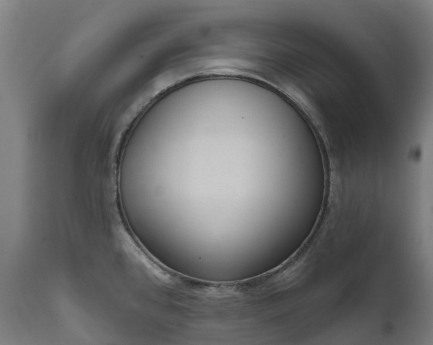 X0000111641384200907311241