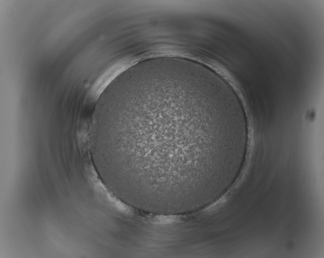 X0000111641385200907311241