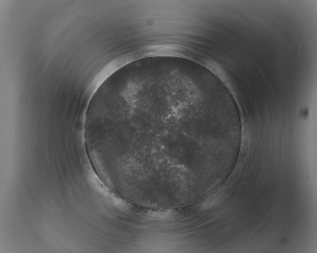 X0000111641386200907311241