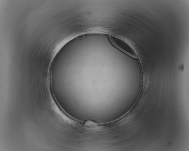 X0000111641387200907311241