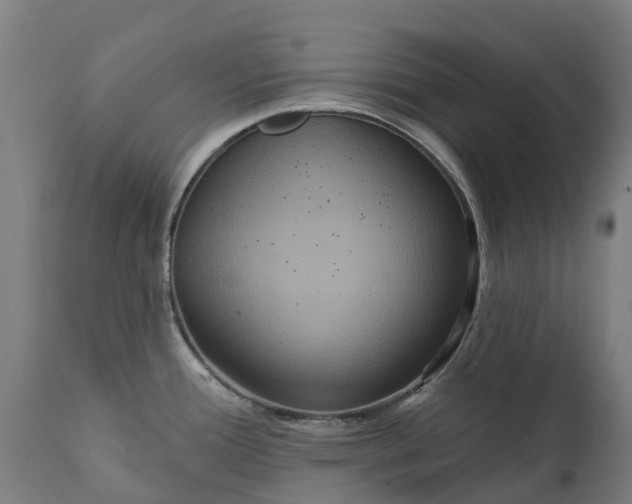 X0000111641388200907311241