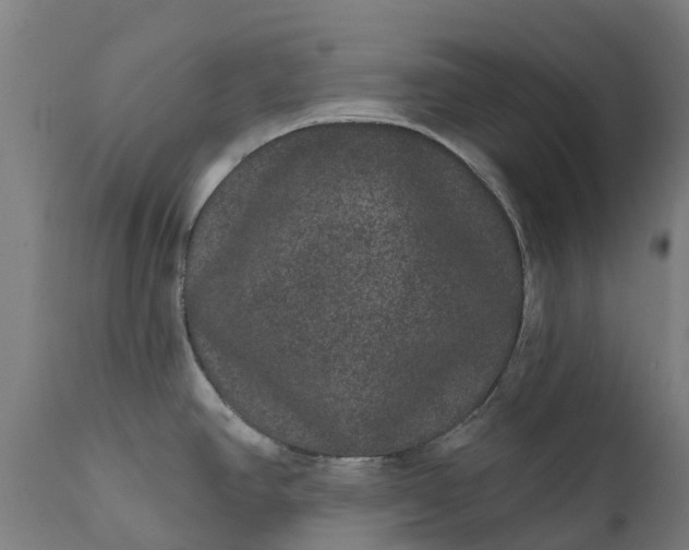 X0000111641390200907311241