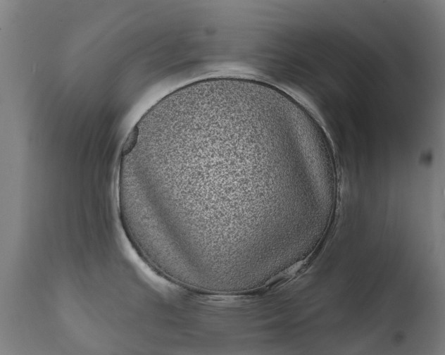 X0000111641391200907311241