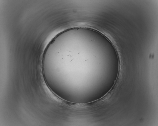 X0000111641392200907311241