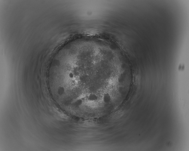 X0000111641393200907311240