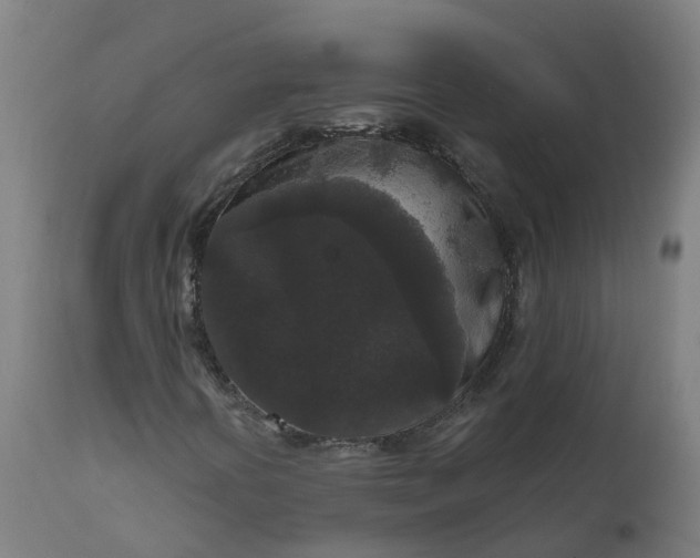 X0000111641394200907311240