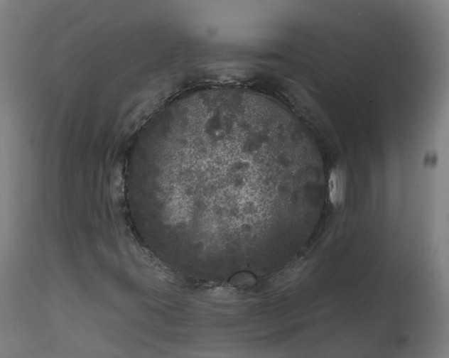 X0000111641395200907311240