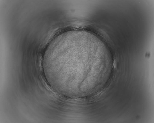 X0000111641396200907311240