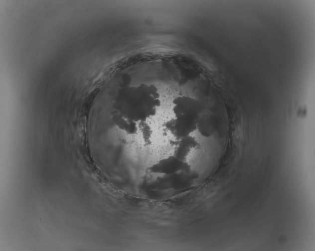 X0000111641397200907311240