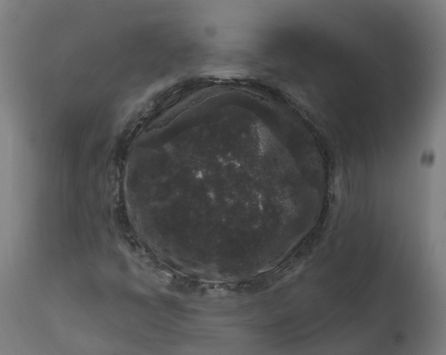 X0000111641398200907311240