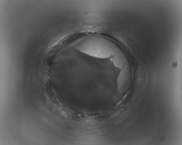 X0000111641399200907311240