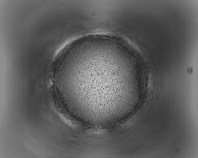 X0000111641400200907311240