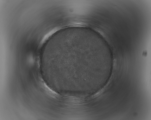 X0000111641402200907311240