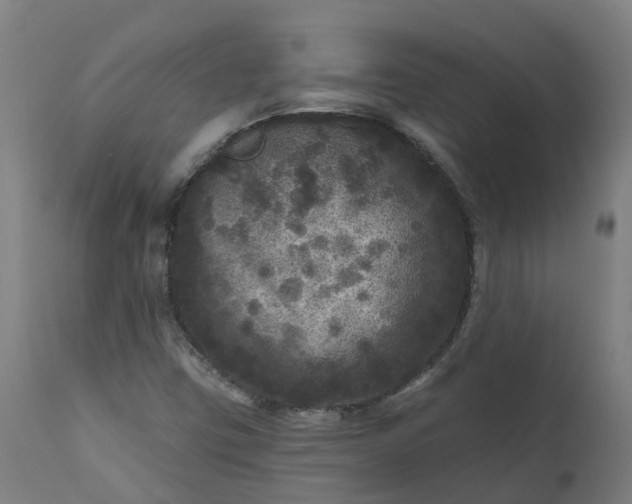 X0000111641403200907311240