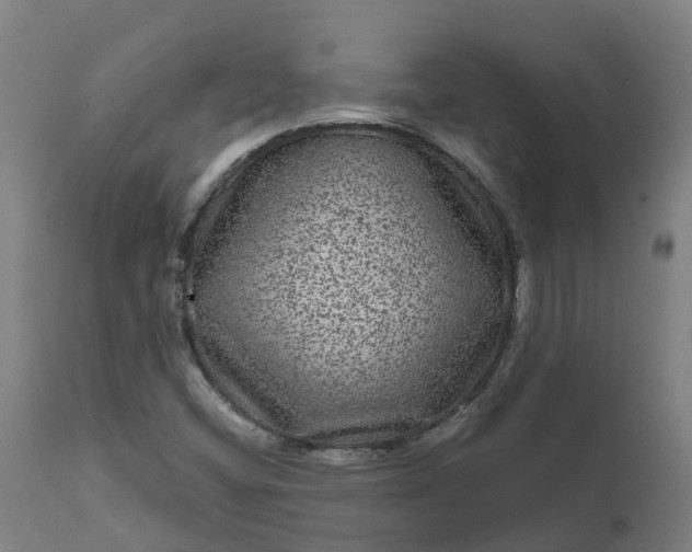 X0000111641404200907311240