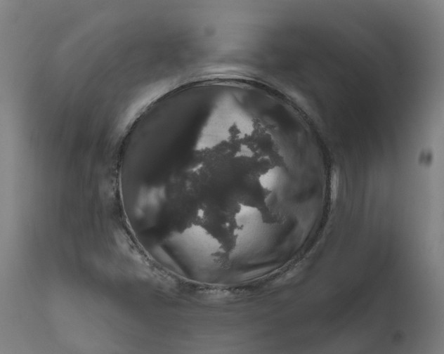 X0000111641405200907311240