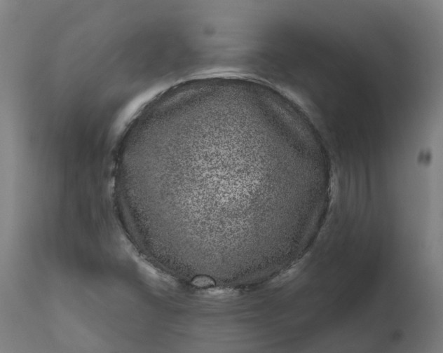 X0000111641406200907311240