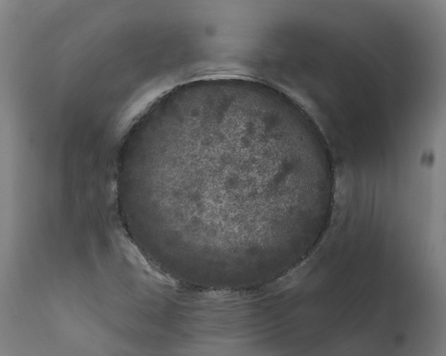 X0000111641407200907311240