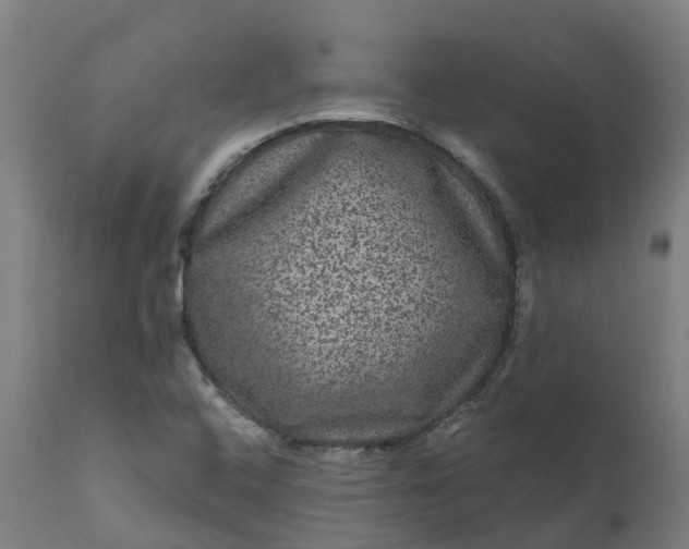 X0000111641408200907311240