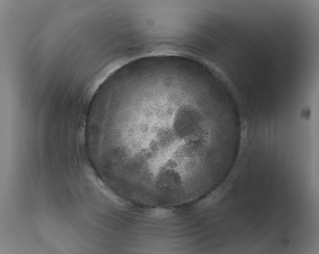 X0000111641409200907311240