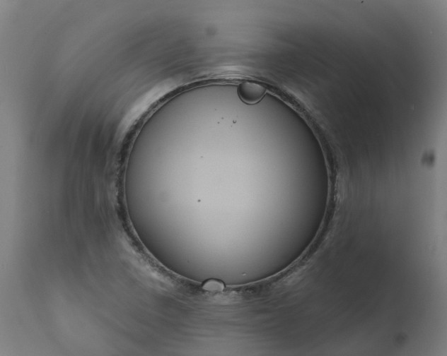 X0000111641410200907311240