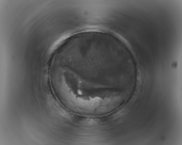 X0000111641411200907311240