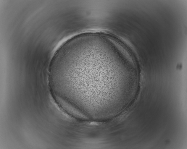 X0000111641412200907311240