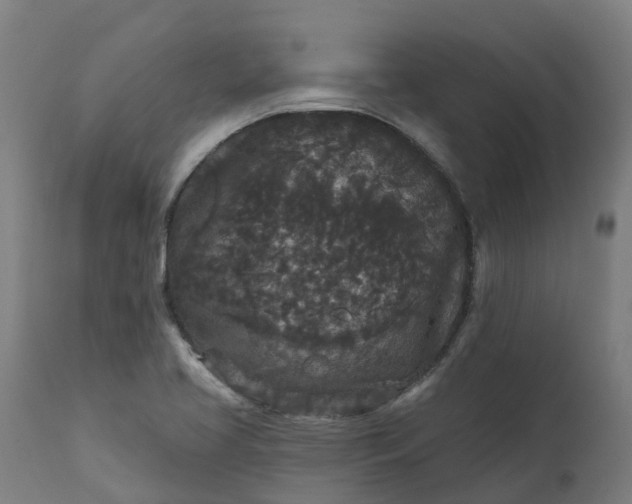 X0000111641413200907311240