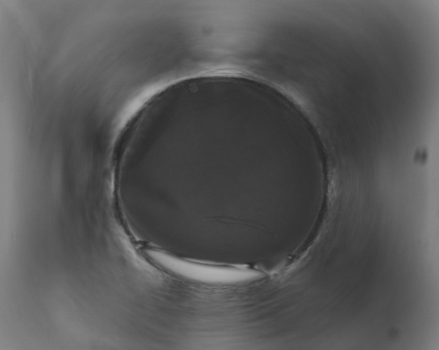 X0000111641414200907311240