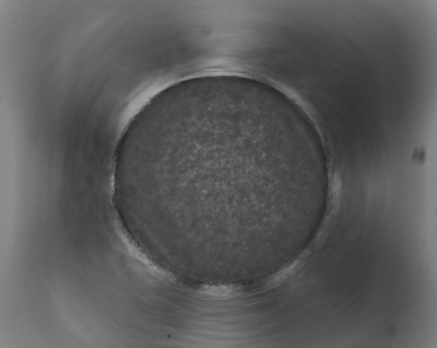 X0000111641415200907311240