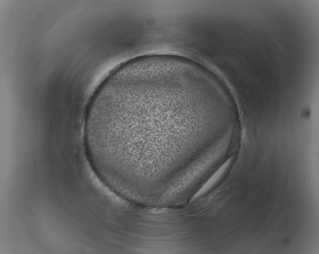 X0000111641416200907311240