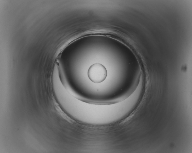 X0000111641417200907311240