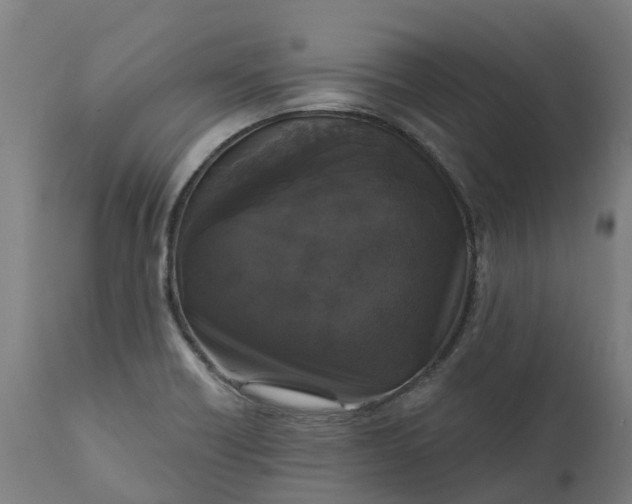 X0000111641418200907311240