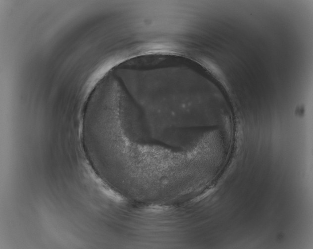 X0000111641419200907311240