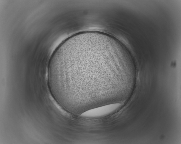 X0000111641420200907311240