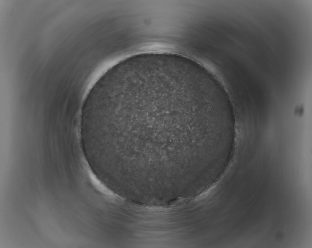 X0000111641421200907311240