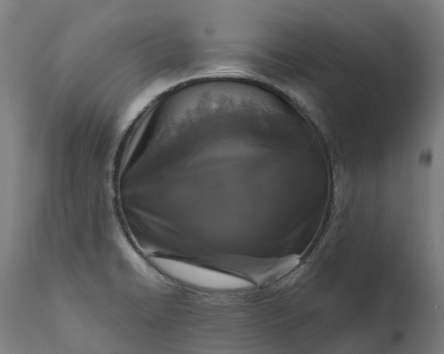 X0000111641422200907311241